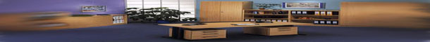 DOMINO logo